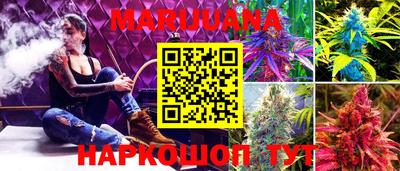 шишки Абинск