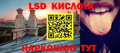 шишки Абинск