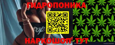 спиды Абакан